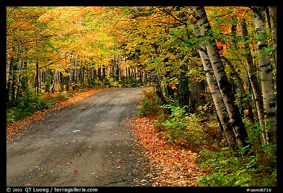 Rural road with fall colors, Hiawatha National Forest. Upper Michigan Peninsula, USA