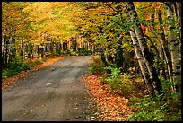 Rural road with fall colors, Hiawatha National Forest. Upper Michigan Peninsula, USA ( color)