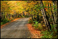 Rural road with fall colors, Hiawatha National Forest. Upper Michigan Peninsula, USA (color)