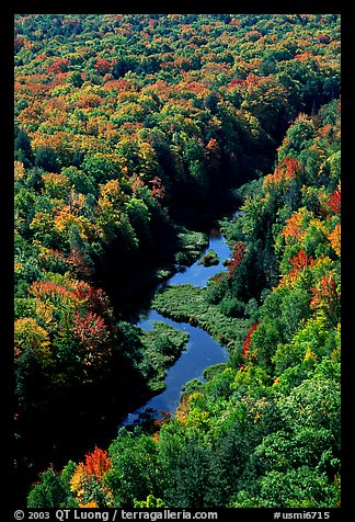 River and trees in autumn colors, Porcupine Mountains State Park. Upper Michigan Peninsula, USA