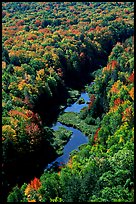 River and trees in autumn colors, Porcupine Mountains State Park. Upper Michigan Peninsula, USA