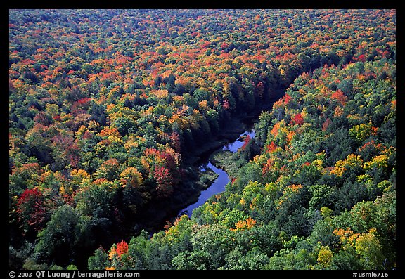 River and trees in autumn colors, Porcupine Mountains State Park. Upper Michigan Peninsula, USA