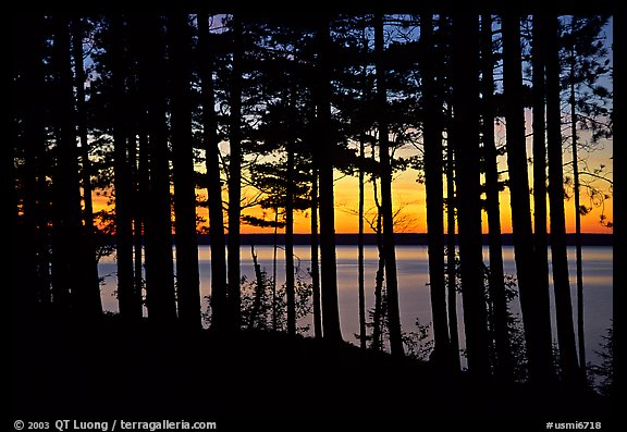 Lake Superior seen through dense trees at sunset,  Pictured Rocks National Lakeshore. Upper Michigan Peninsula, USA