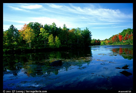 Trees reflected in river, Banning State Park. Minnesota, USA (color)