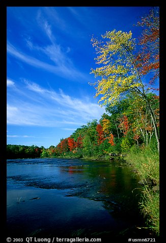 Trees and river, Banning State Park. Minnesota, USA (color)