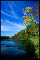 Trees and river, Banning State Park. Minnesota, USA (color)