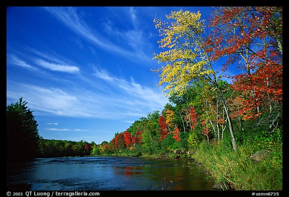 Trees and river, Banning State Park. Minnesota, USA (color)