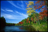 Trees and river, Banning State Park. Minnesota, USA (color)