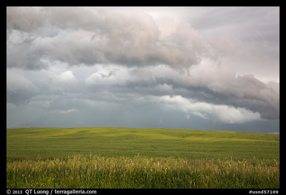 Storm clouds over field. North Dakota, USA