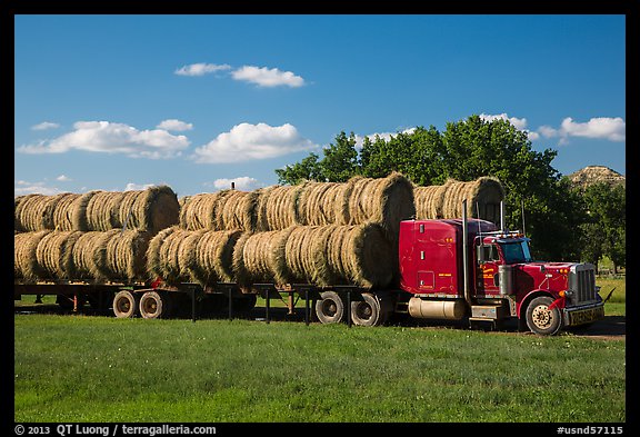 Truck loaded with hay rolls, Medora. North Dakota, USA (color)