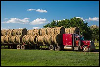 Truck loaded with hay rolls, Medora. North Dakota, USA ( color)