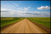 Gravel road in open prairie. North Dakota, USA ( color)