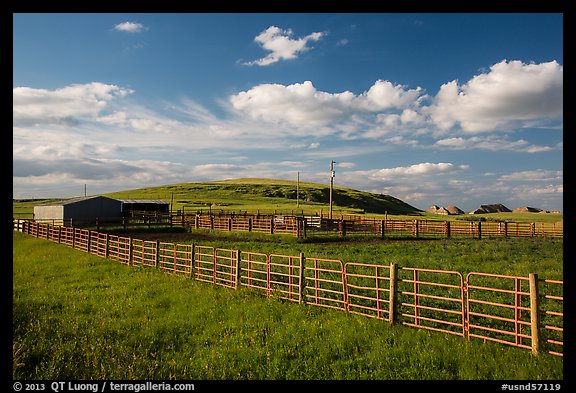 Cattle enclosure. North Dakota, USA