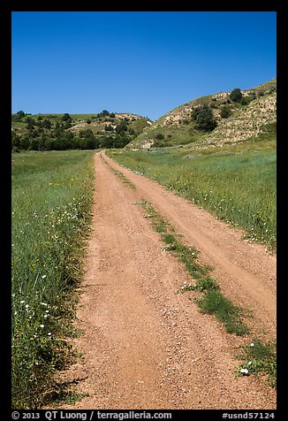 Narrow gravel road with wildflowers. North Dakota, USA