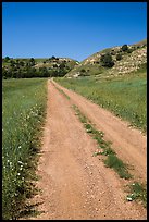 Narrow gravel road with wildflowers. North Dakota, USA (color)