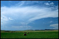 Hay rolls and storm cloud. North Dakota, USA