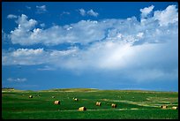 Field of grasses with hay rolls and big sky. North Dakota, USA