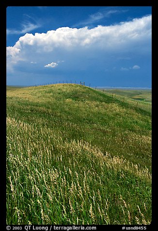 Grassy hills. North Dakota, USA (color)