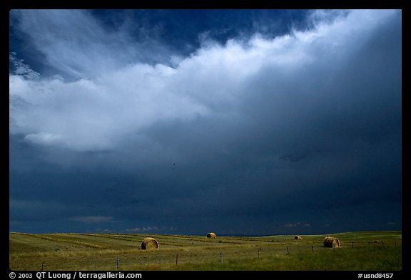 Hay rolls under a storm cloud. North Dakota, USA (color)