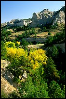 Trees and sandstone cliff. Nebraska, USA