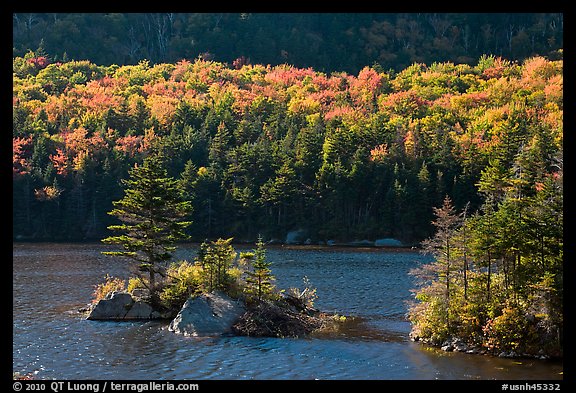 Islet on Beaver Pond in autumn, White Mountain National Forest. New Hampshire, USA (color)