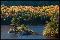 Islet on Beaver Pond in autumn, White Mountain National Forest. New Hampshire, USA ( color)