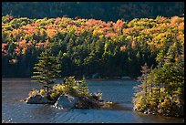 Islet on Beaver Pond in autumn, White Mountain National Forest. New Hampshire, USA