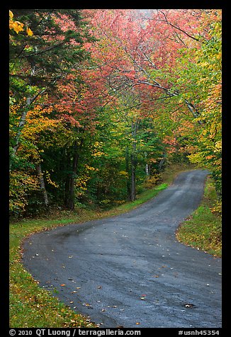 Rural road in the fall, White Mountain National Forest. New Hampshire, USA (color)