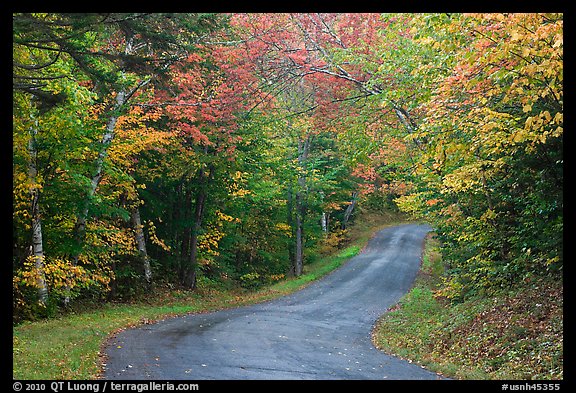 Country road in autumn, White Mountain National Forest. New Hampshire, USA (color)