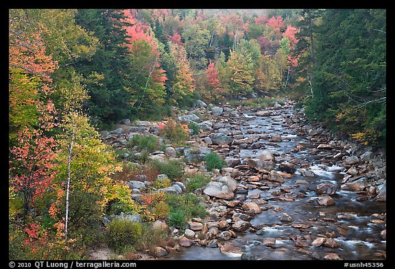 River in autumn, White Mountain National Forest. New Hampshire, USA (color)