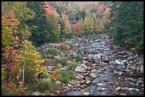 River in autumn, White Mountain National Forest. New Hampshire, USA