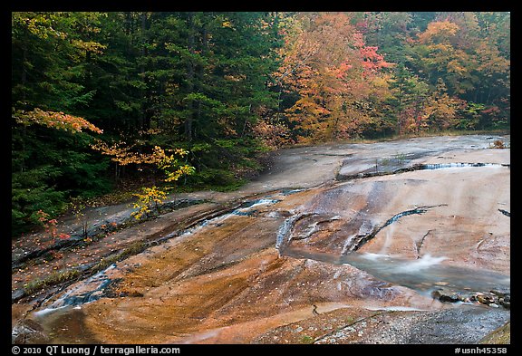 Stream over rock slab in autumn, Franconia Notch State Park. New Hampshire, USA