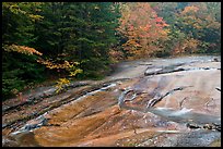 Stream over rock slab in autumn, Franconia Notch State Park. New Hampshire, USA (color)