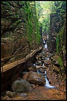 Flume Gorge, Franconia Notch State Park. New Hampshire, USA ( color)