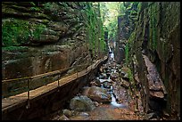 The Flume, narrow granite gorge, Franconia Notch State Park. New Hampshire, USA (color)