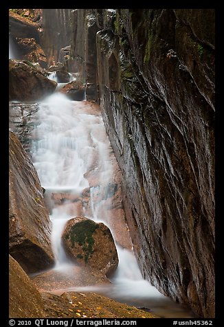 Flume Brook, Franconia Notch State Park. New Hampshire, USA