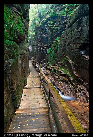 Boardwalk in the Flume, Franconia Notch State Park. New Hampshire, USA