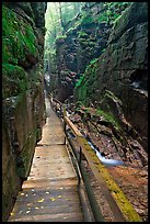 Boardwalk in the Flume, Franconia Notch State Park. New Hampshire, USA