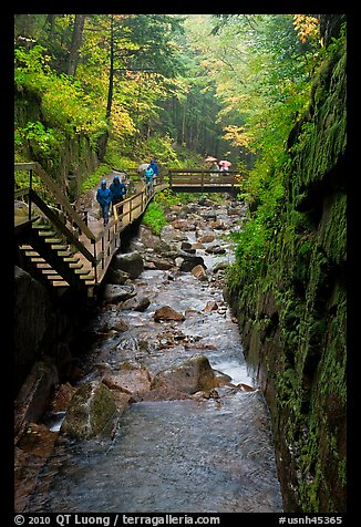 Flume gorge and hikers walking on boardwalk, Franconia Notch State Park. New Hampshire, USA