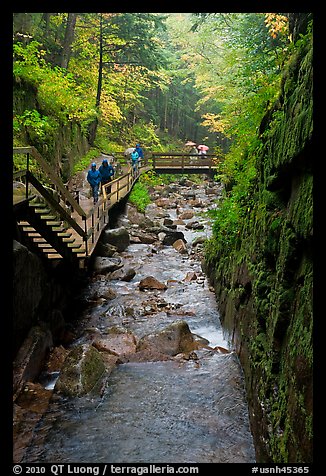 Flume gorge and hikers walking on boardwalk, Franconia Notch State Park. New Hampshire, USA