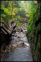 Flume gorge and hikers walking on boardwalk, Franconia Notch State Park. New Hampshire, USA