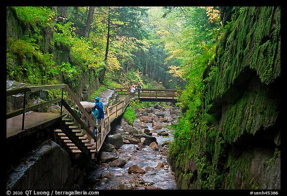 Rainy day at the Flume, Franconia Notch State Park. New Hampshire, USA