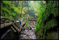 Rainy day at the Flume, Franconia Notch State Park. New Hampshire, USA