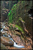 Flume brook at the base of granite and basalt walls, Franconia Notch State Park. New Hampshire, USA