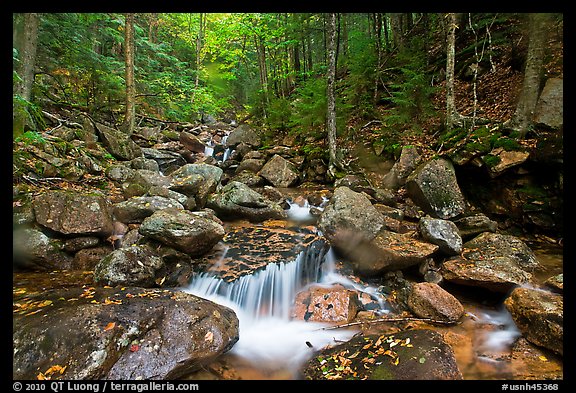 Creek in autumn, Franconia Notch State Park. New Hampshire, USA (color)