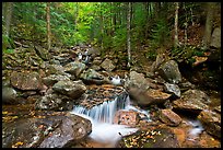 Creek in autumn, Franconia Notch State Park. New Hampshire, USA