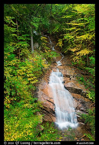 Avalanche Falls, Franconia Notch State Park. New Hampshire, USA (color)
