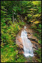 Avalanche Falls, Franconia Notch State Park. New Hampshire, USA