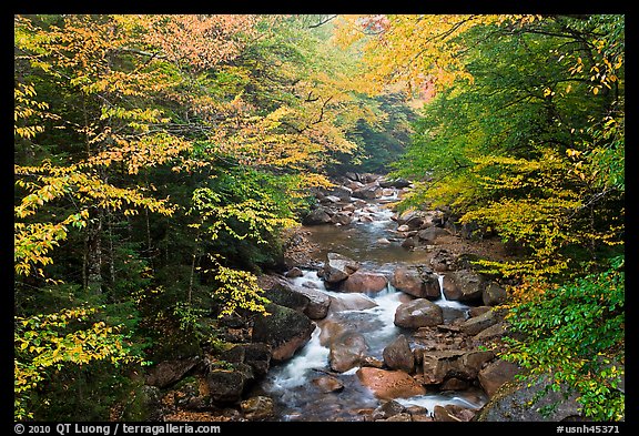 Cascades of the Pemigewasset River in fall, Franconia Notch State Park. New Hampshire, USA (color)