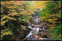 Cascades of the Pemigewasset River in fall, Franconia Notch State Park. New Hampshire, USA ( color)